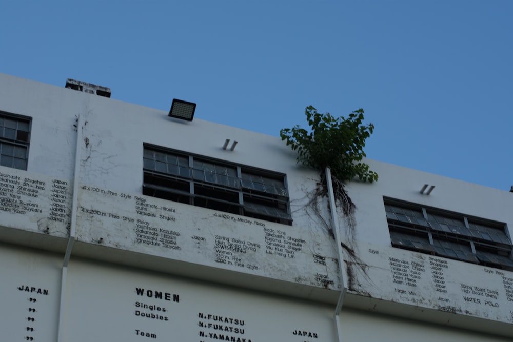 a building with a tree growing out of it