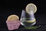 An elegant glass of water with ice and a slice of lemon.