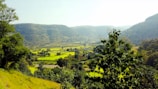 A lush green valley with terraced fields stretching out across the landscape. Hills rise on either side, and trees dot the foreground. A small cluster of buildings is visible in the distance, nestled among the fields.
