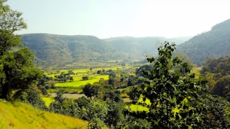 A serene Uttarakhand village with lush green fields and farmers using modern technology.