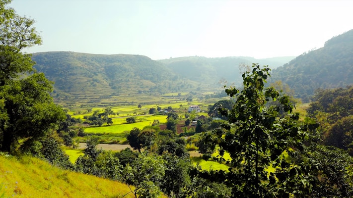 A lush green valley with terraced fields stretching out across the landscape. Hills rise on either side, and trees dot the foreground. A small cluster of buildings is visible in the distance, nestled among the fields.