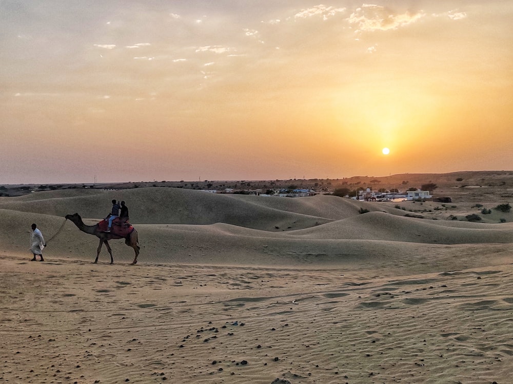 two people riding a camel in the desert