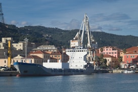 A large cargo ship is docked beside colorful buildings with orange and pink accents along a waterfront. In the background, lush green hills stretch under a blue sky with scattered clouds. There are cranes positioned near the ship suggesting an industrial or shipping area.