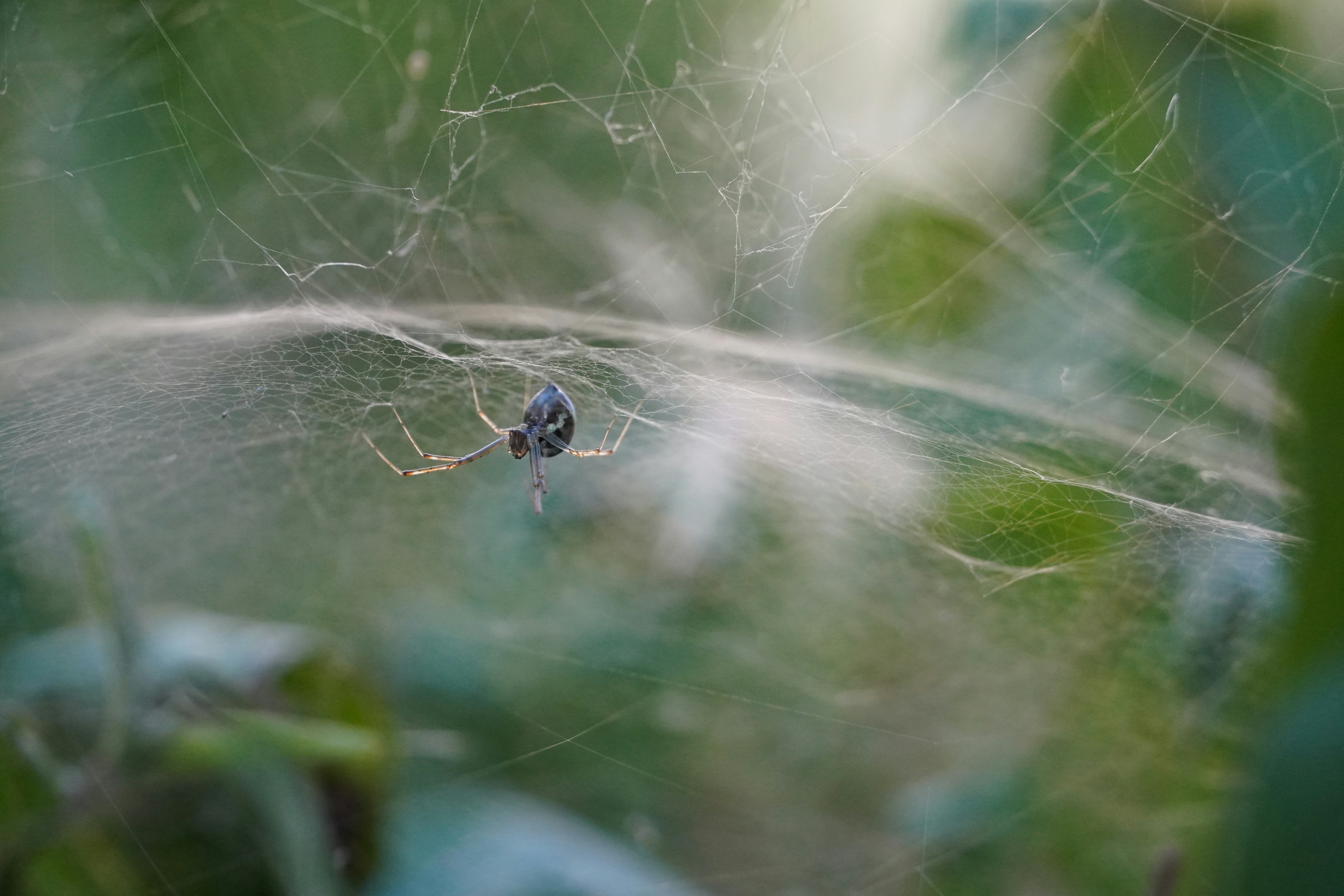 Photo by theodor_jacob