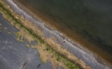 Before and after photos of a cleaned shoreline.