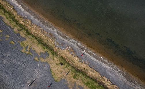 Before and after photos of a cleaned shoreline.