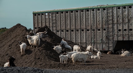 a large pile of dirt next to a building