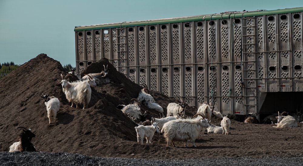 un gros tas de terre à côté d’un bâtiment