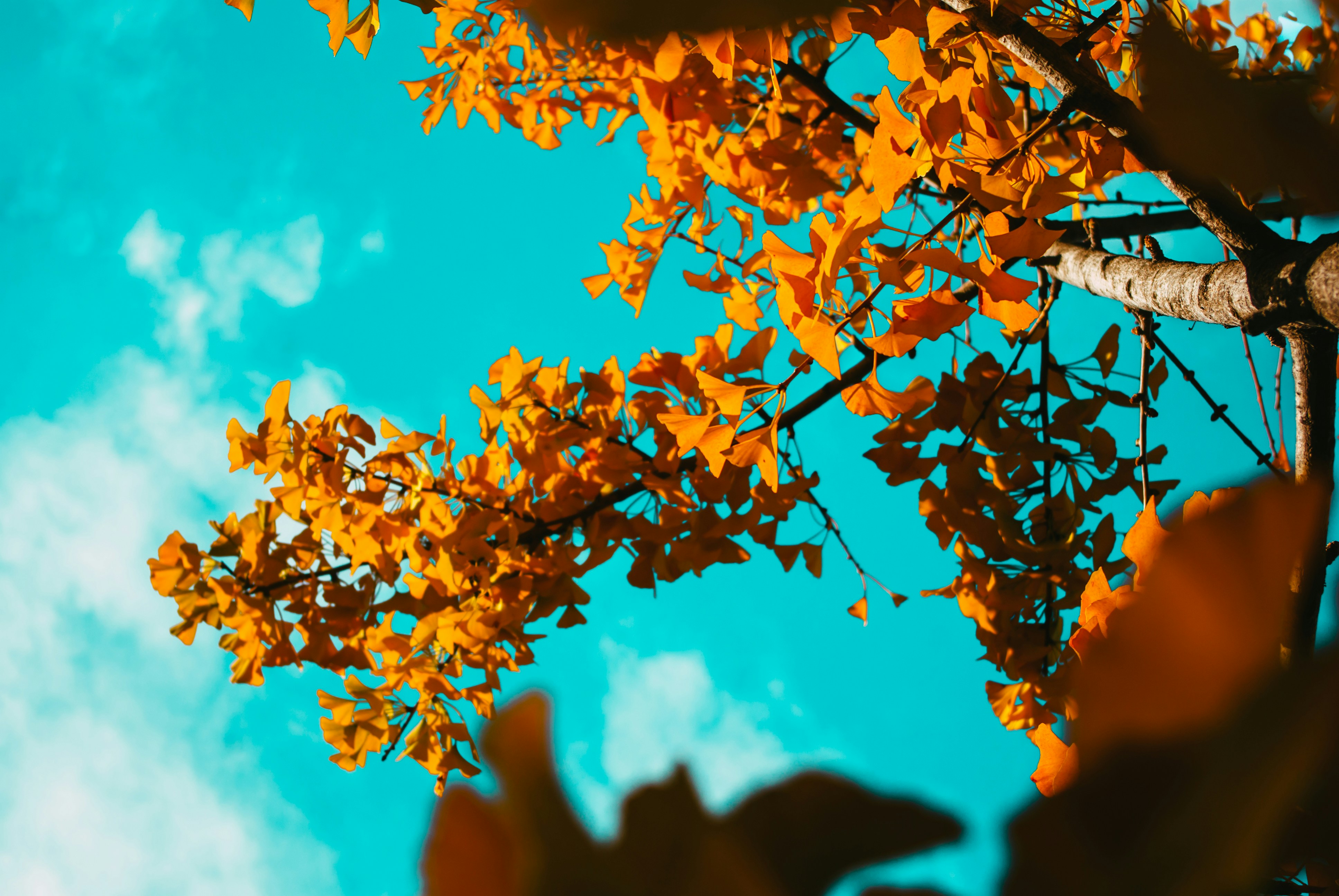 Photo by moonmoons_days