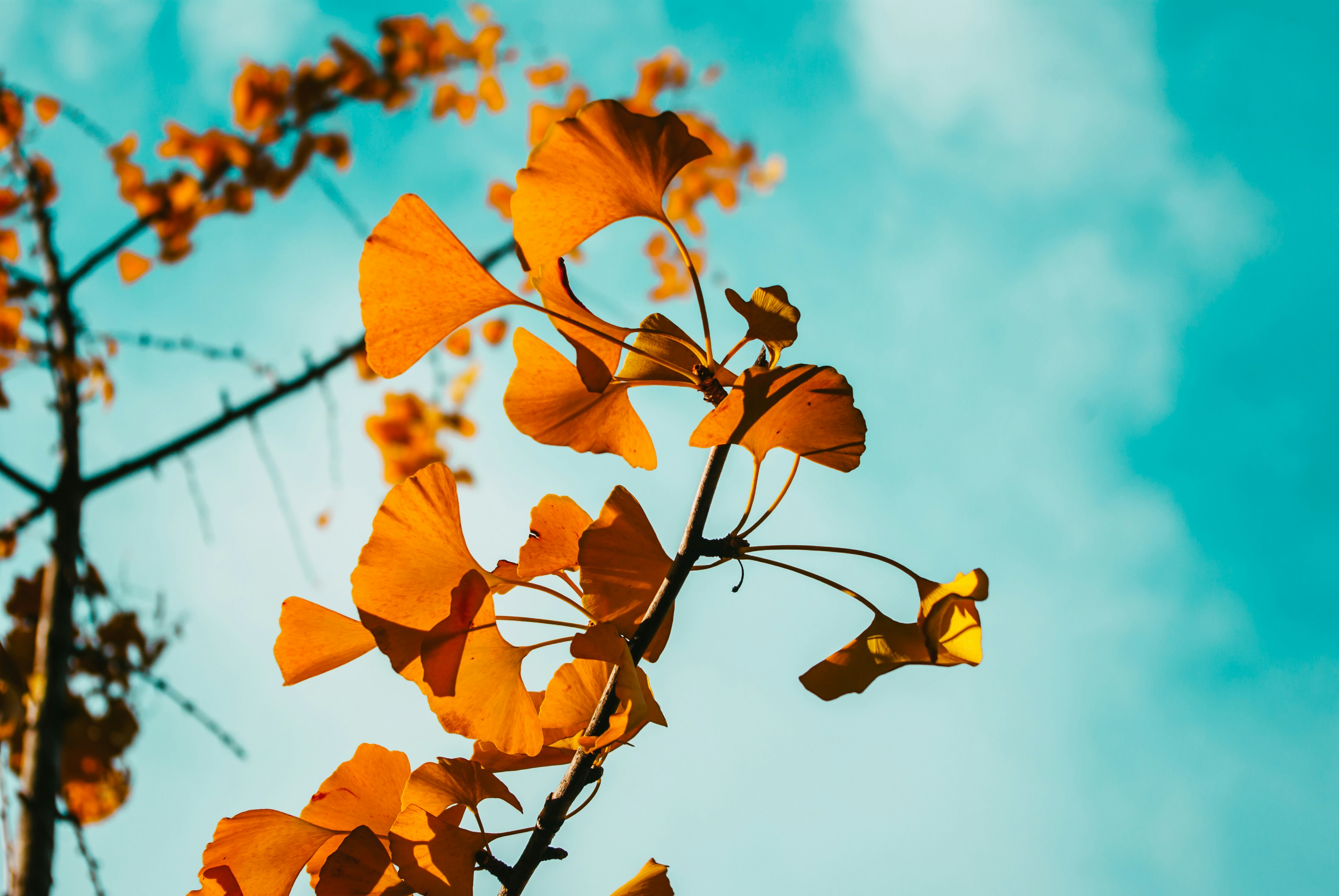 Photo by moonmoons_days