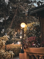 A vibrant garden lit by solar-powered lanterns as dusk settles.