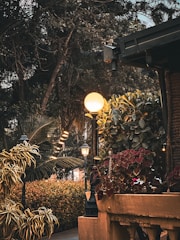 Evening ambiance of the hotel garden with warm lights.