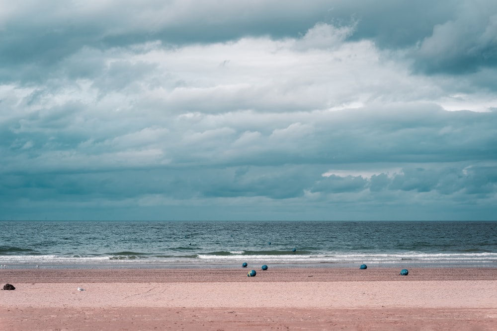 a group of birds sitting on top of a sandy beach