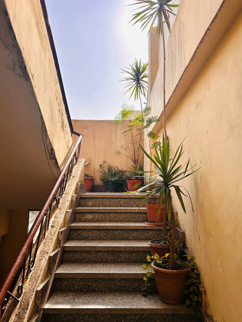 um conjunto de escadas que levam a um edifício