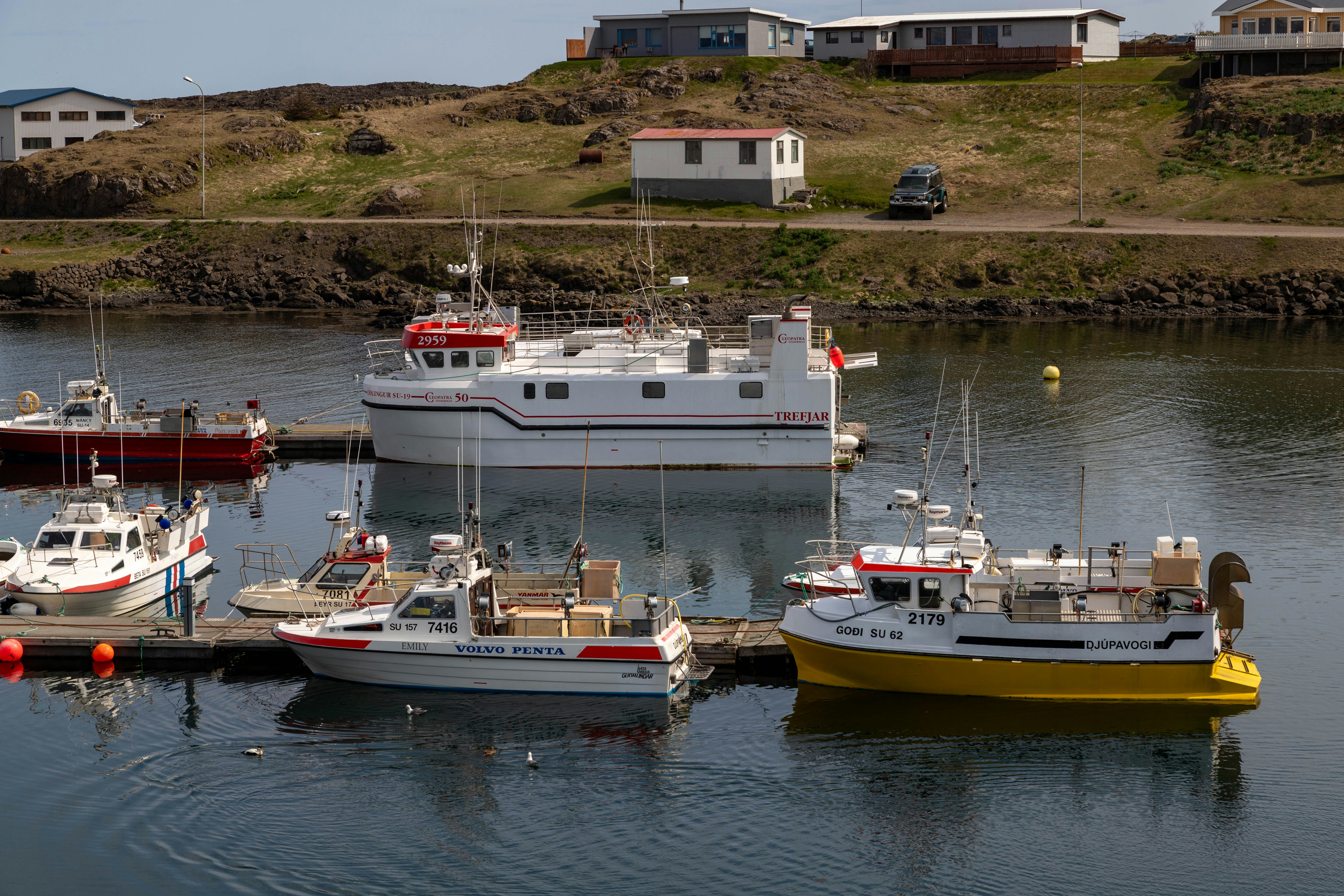 A group of boats are docked in a harbor photo – Free Car Image on Unsplash