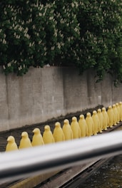 A line of yellow penguin sculptures is positioned on a wooden plank over water, with a concrete wall and lush green foliage in the background.