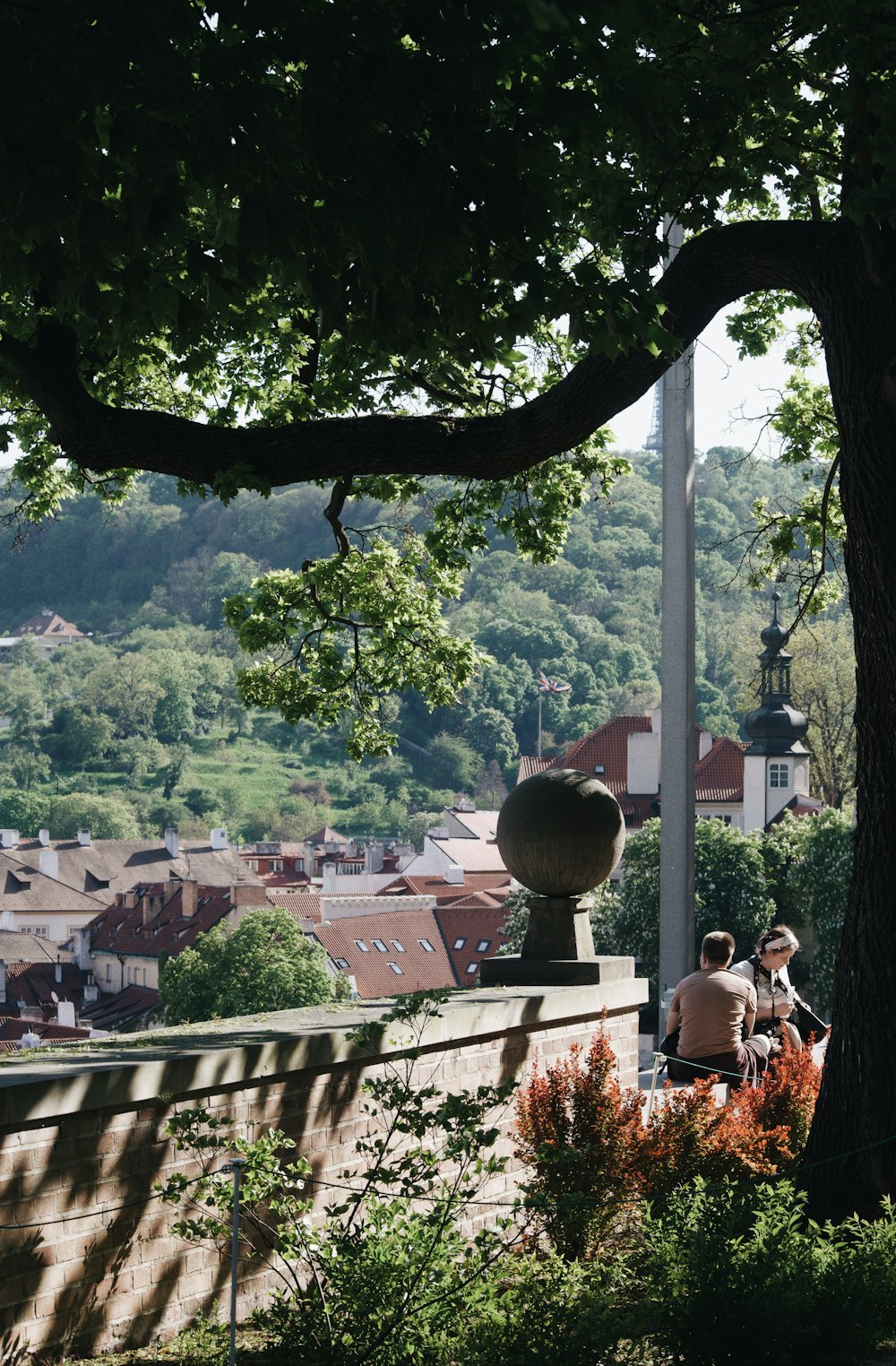 a couple of people sitting on a bench under a tree