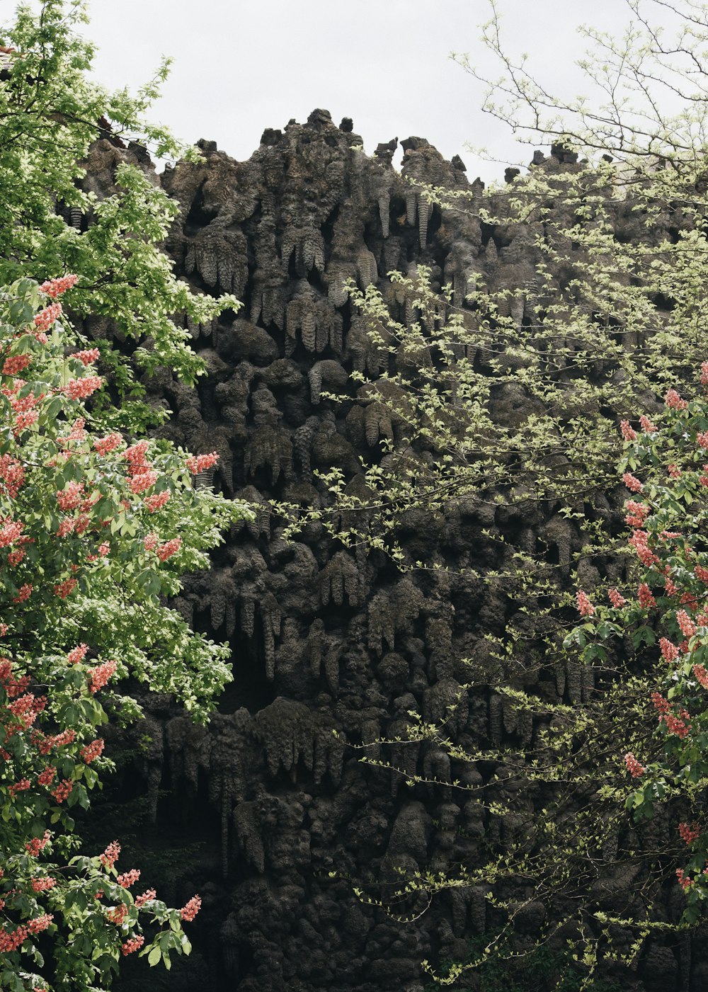 a group of rocks sitting next to a lush green forest