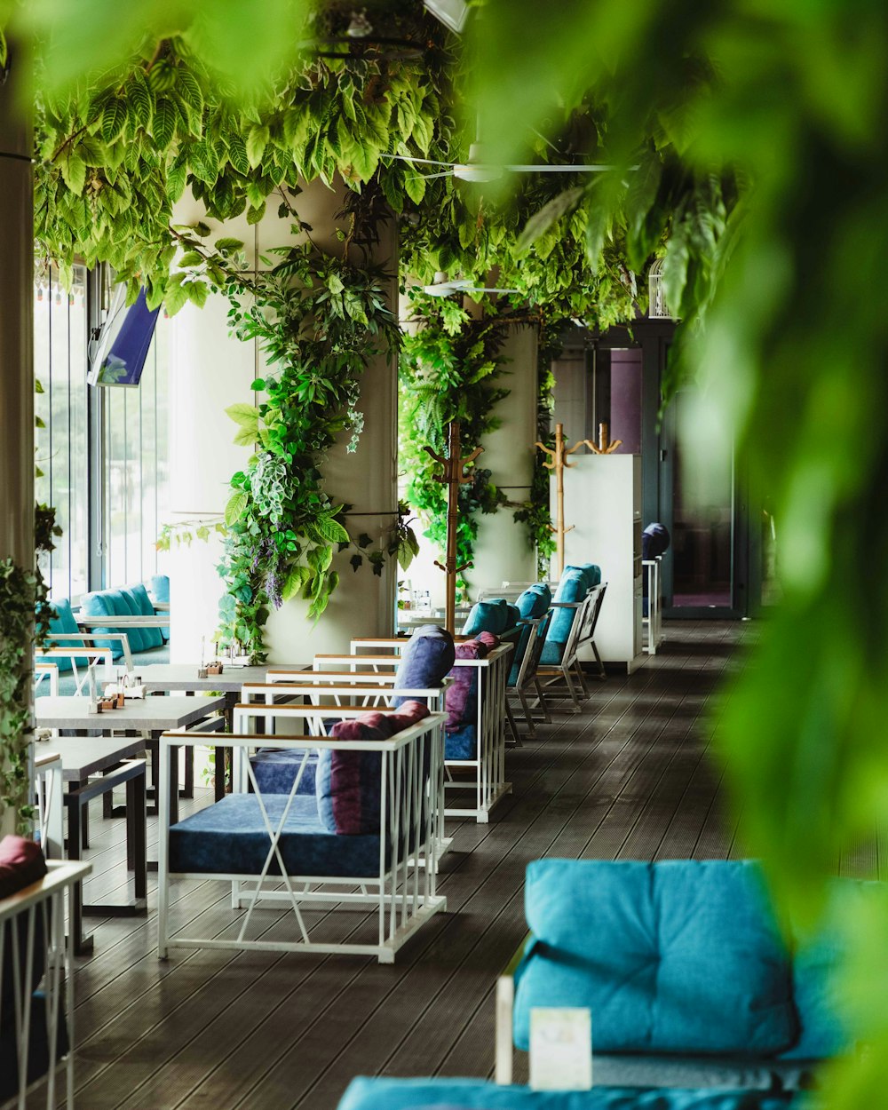 a room filled with lots of green plants