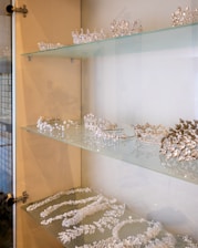 A glass display case is filled with an array of glittering tiaras and crowns, each intricately designed with crystals and pearls. The shelves showcase the delicate craftsmanship of the jewelry pieces, which are neatly arranged with some necklaces and matching accessories.