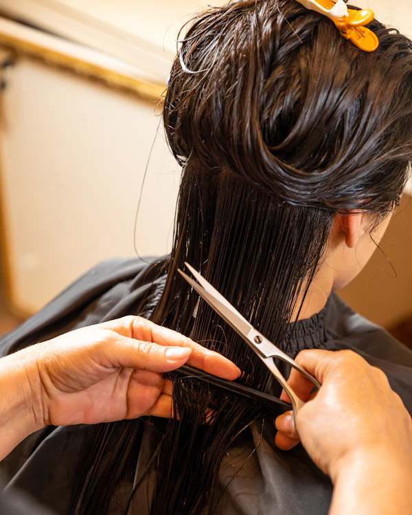 Knippen & styling