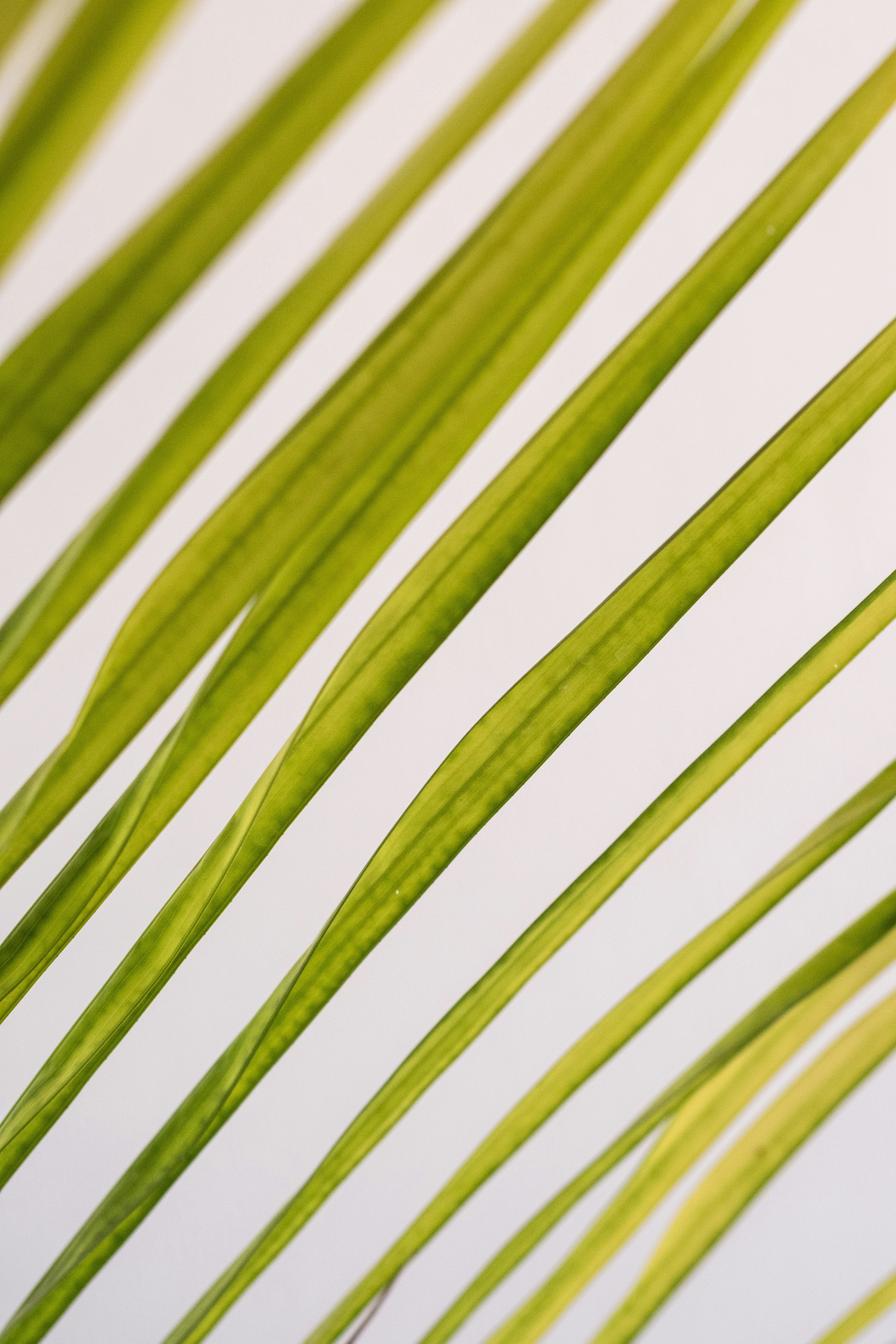 Photo by alex_quezada