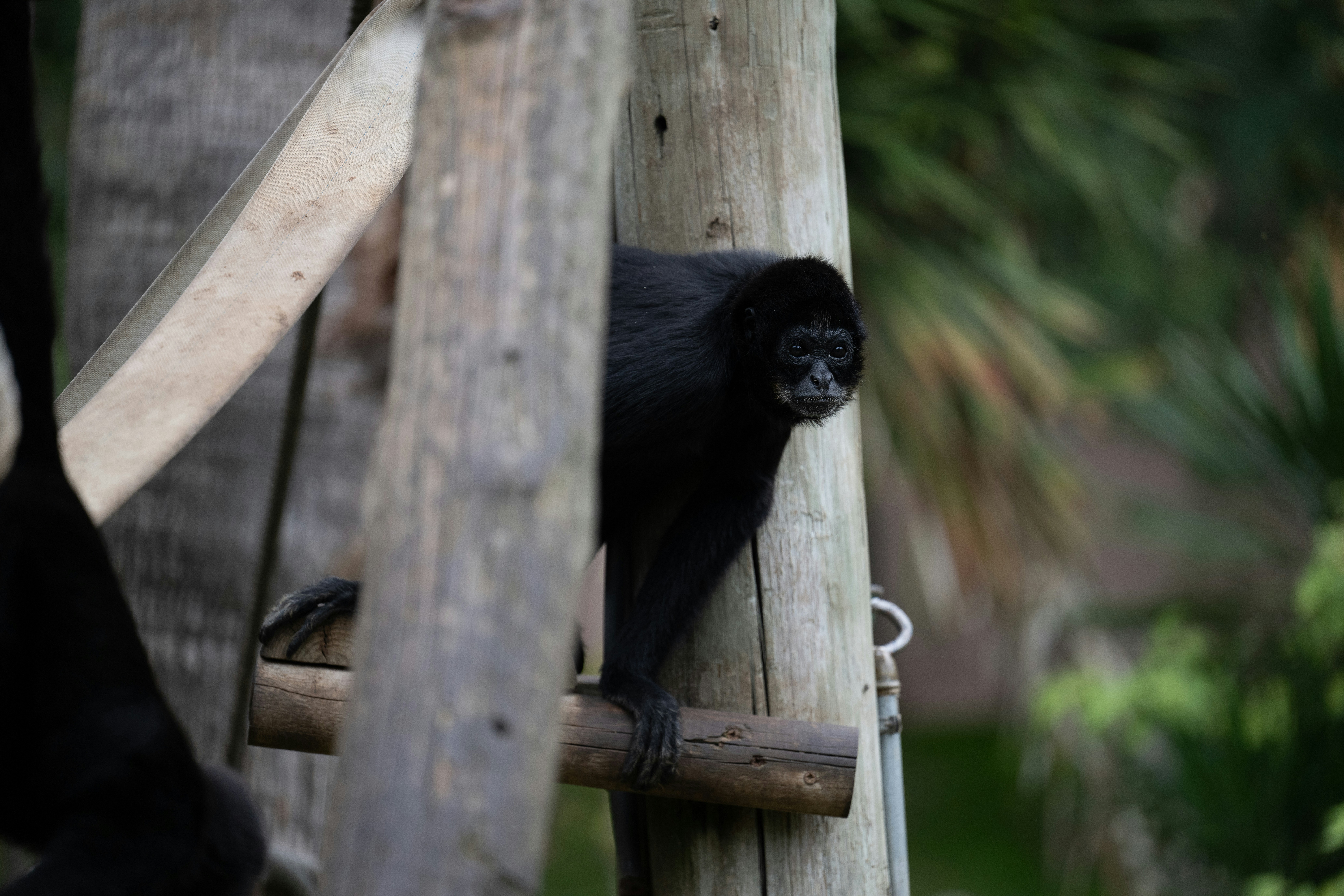 Photo by nunofomendes