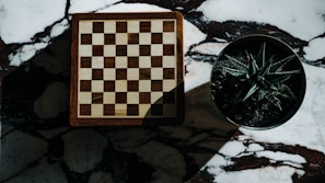 A wooden chessboard with a simple alternating square pattern sits next to a potted succulent plant. The background is a white and black marbled surface, with shadows cast over the objects, creating a dramatic contrast.