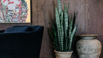 A stylish interior scene featuring an abstract painting placed on a dark wooden wall. Beside the painting is a black velvet chair, a potted snake plant with tall green leaves, and a large rustic ceramic vase.