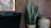 A stylish interior scene featuring an abstract painting placed on a dark wooden wall. Beside the painting is a black velvet chair, a potted snake plant with tall green leaves, and a large rustic ceramic vase.