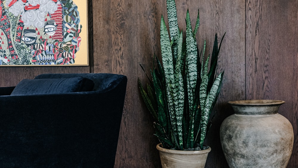 a living room with a couch and a potted plant