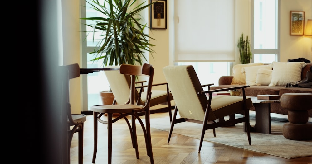 a living room filled with furniture and a plant