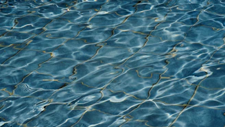 Close-up of water dripping from a hidden crack beneath pool tiles.