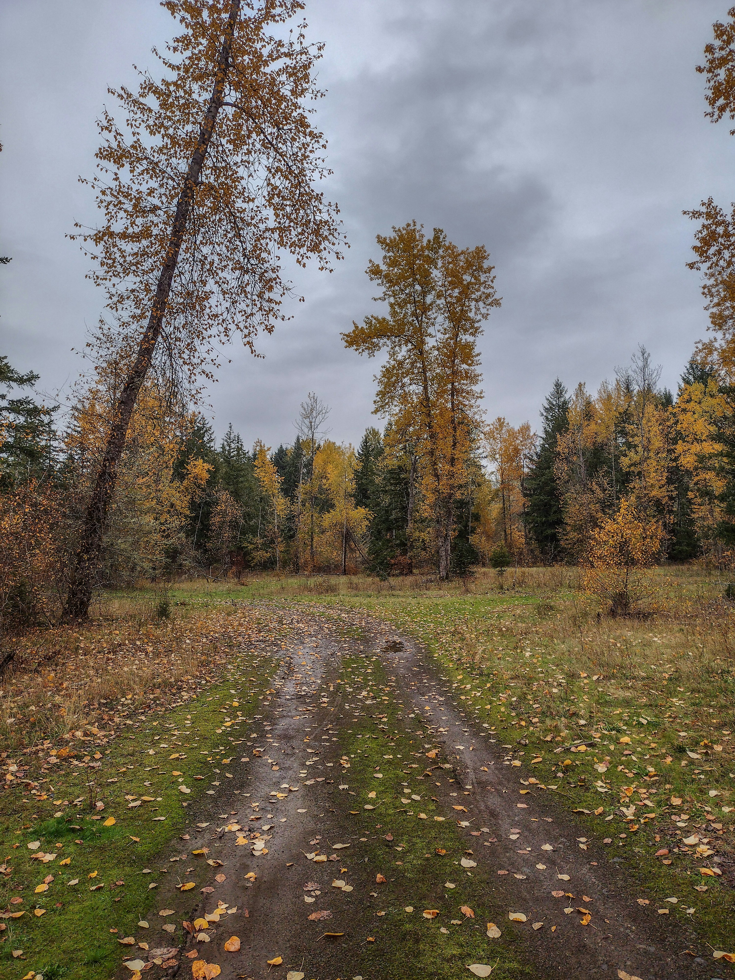 Photo by prphotography262