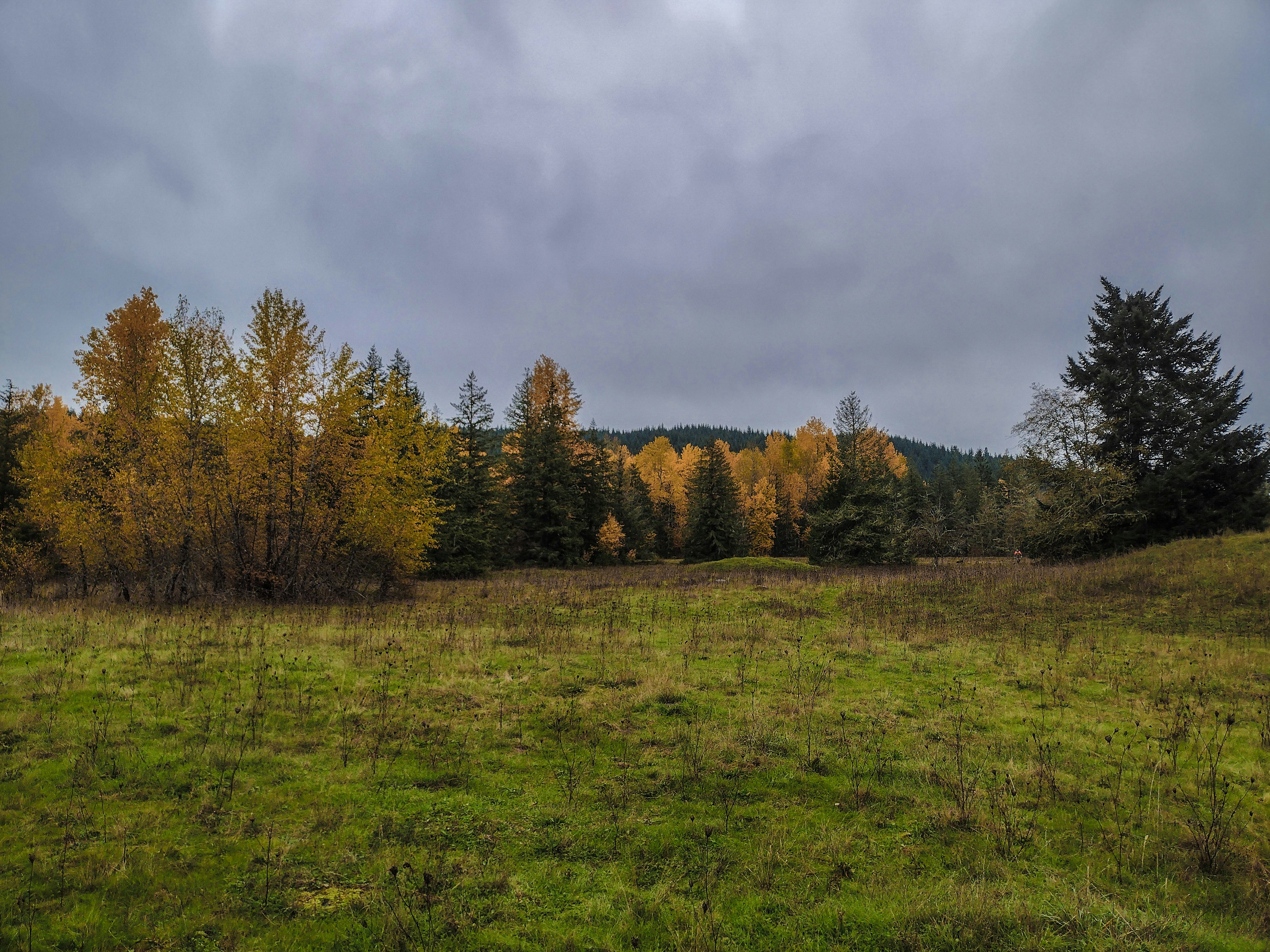 Photo by prphotography262