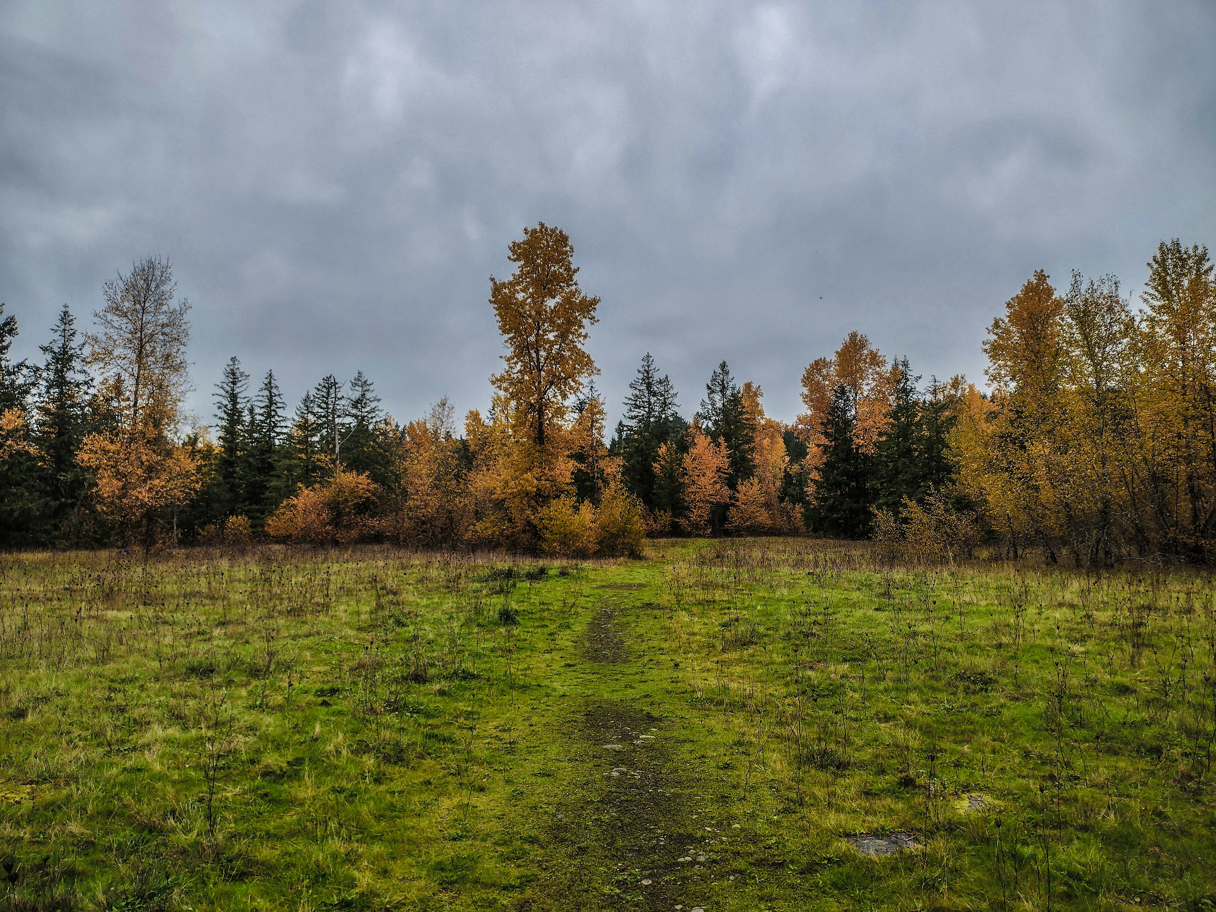 Photo by prphotography262