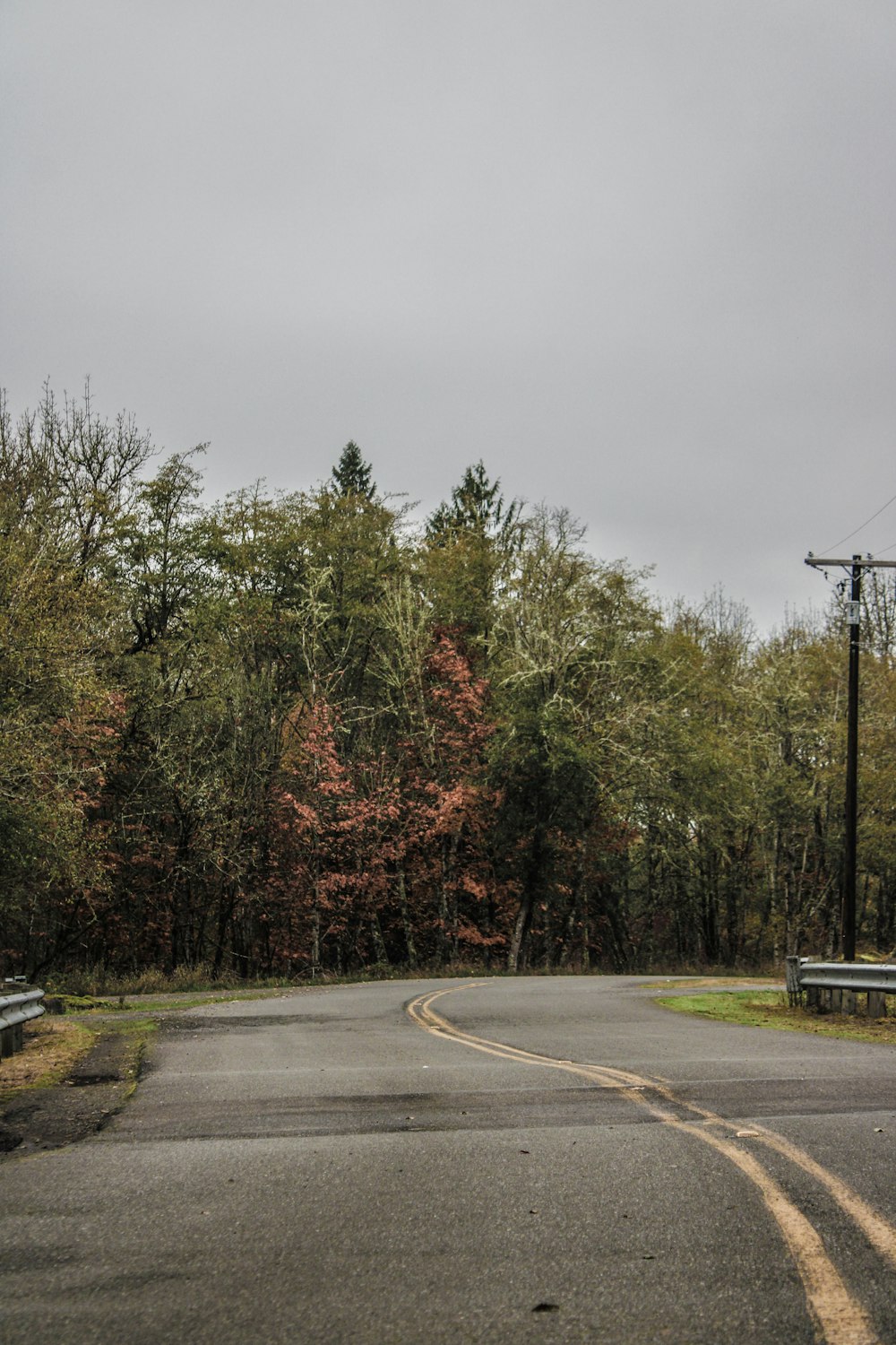 an empty road in the middle of a forest