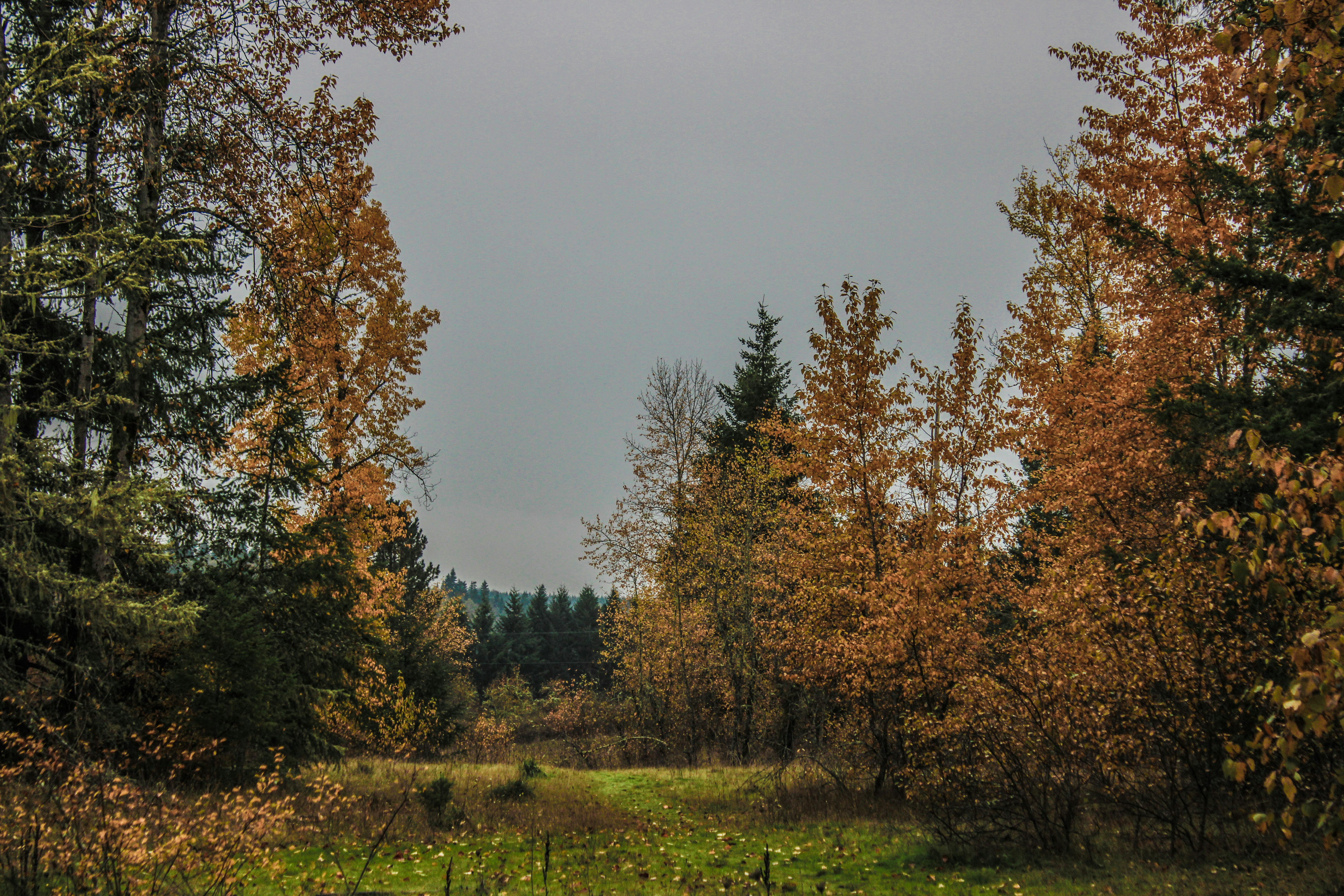 Photo by prphotography262