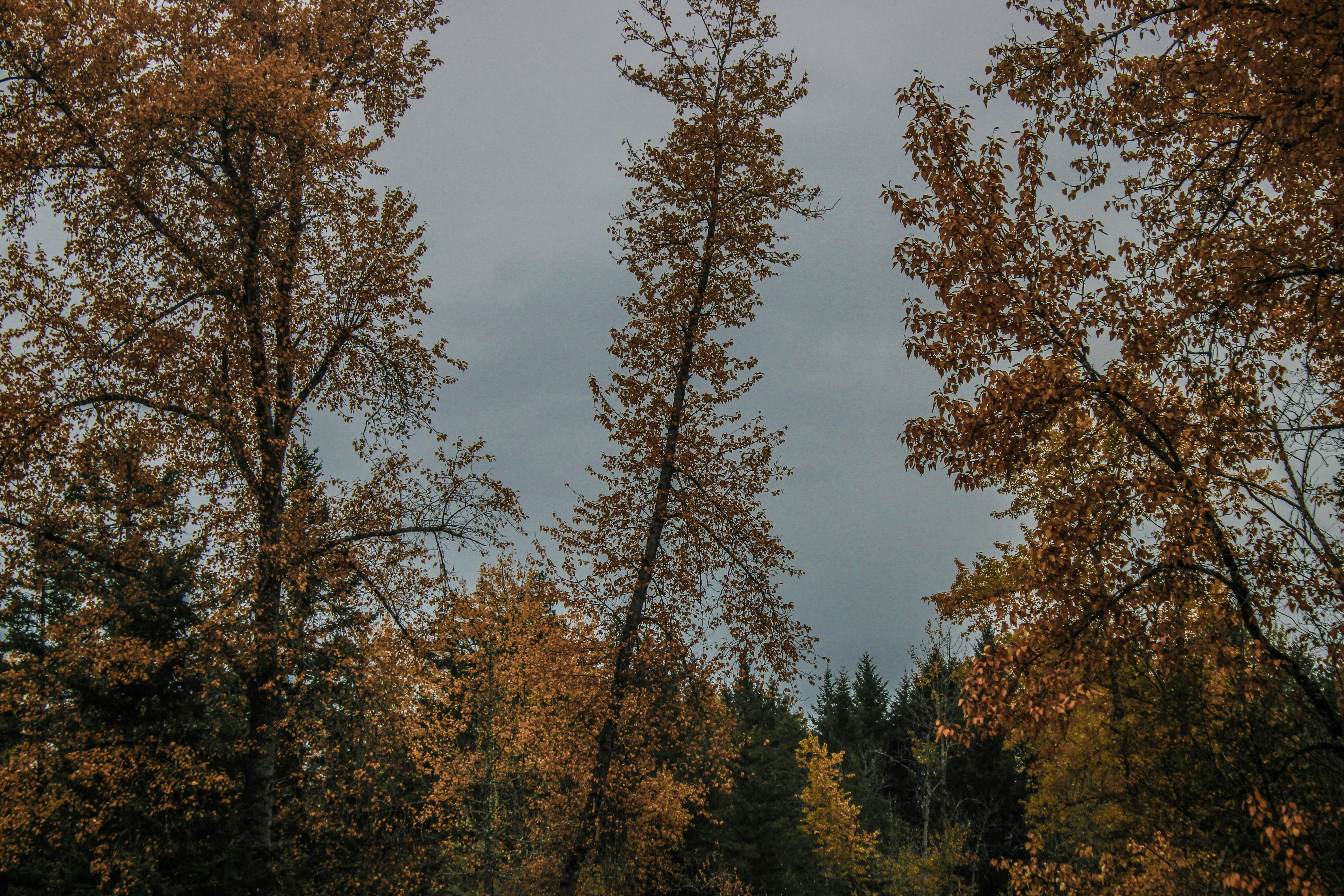 Photo by prphotography262