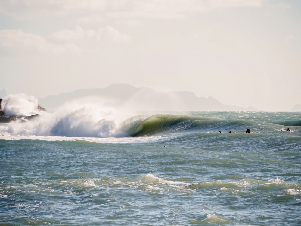 a group of people riding surfboards on top of a wave