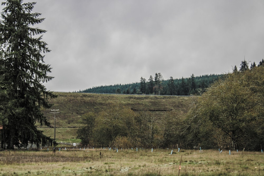 a field with trees and a house in the distance