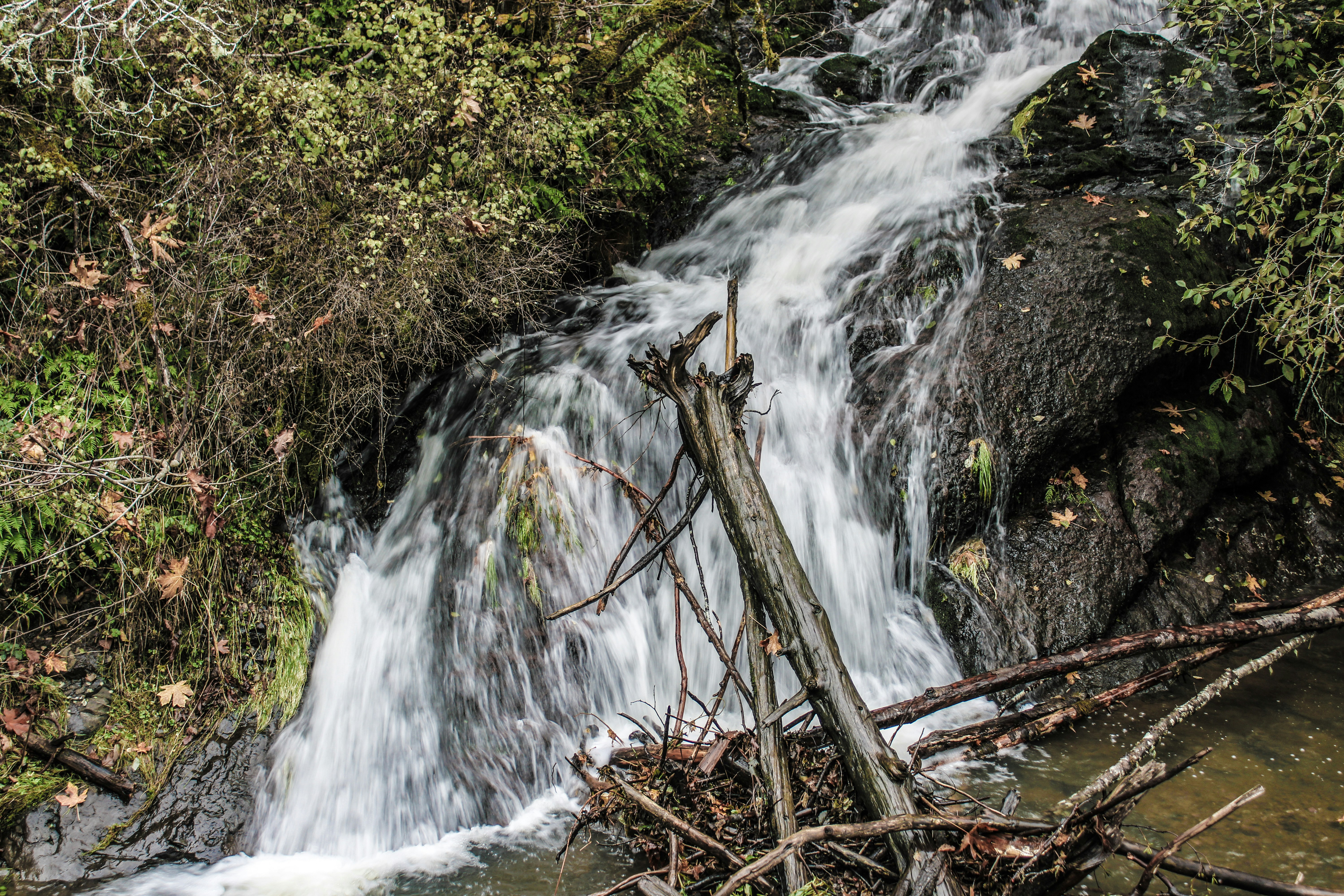 Photo by prphotography262