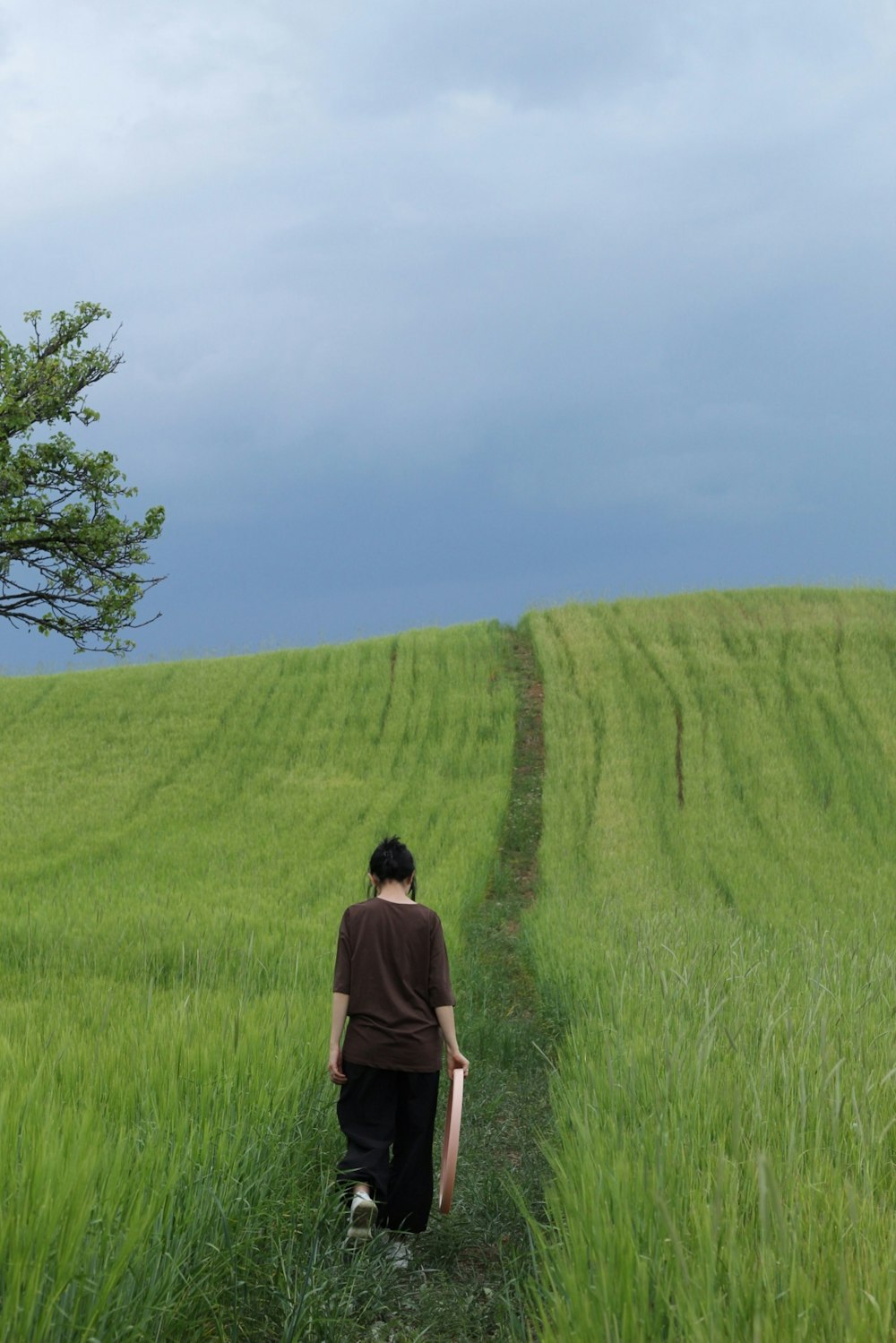 a person walking down a path in a field