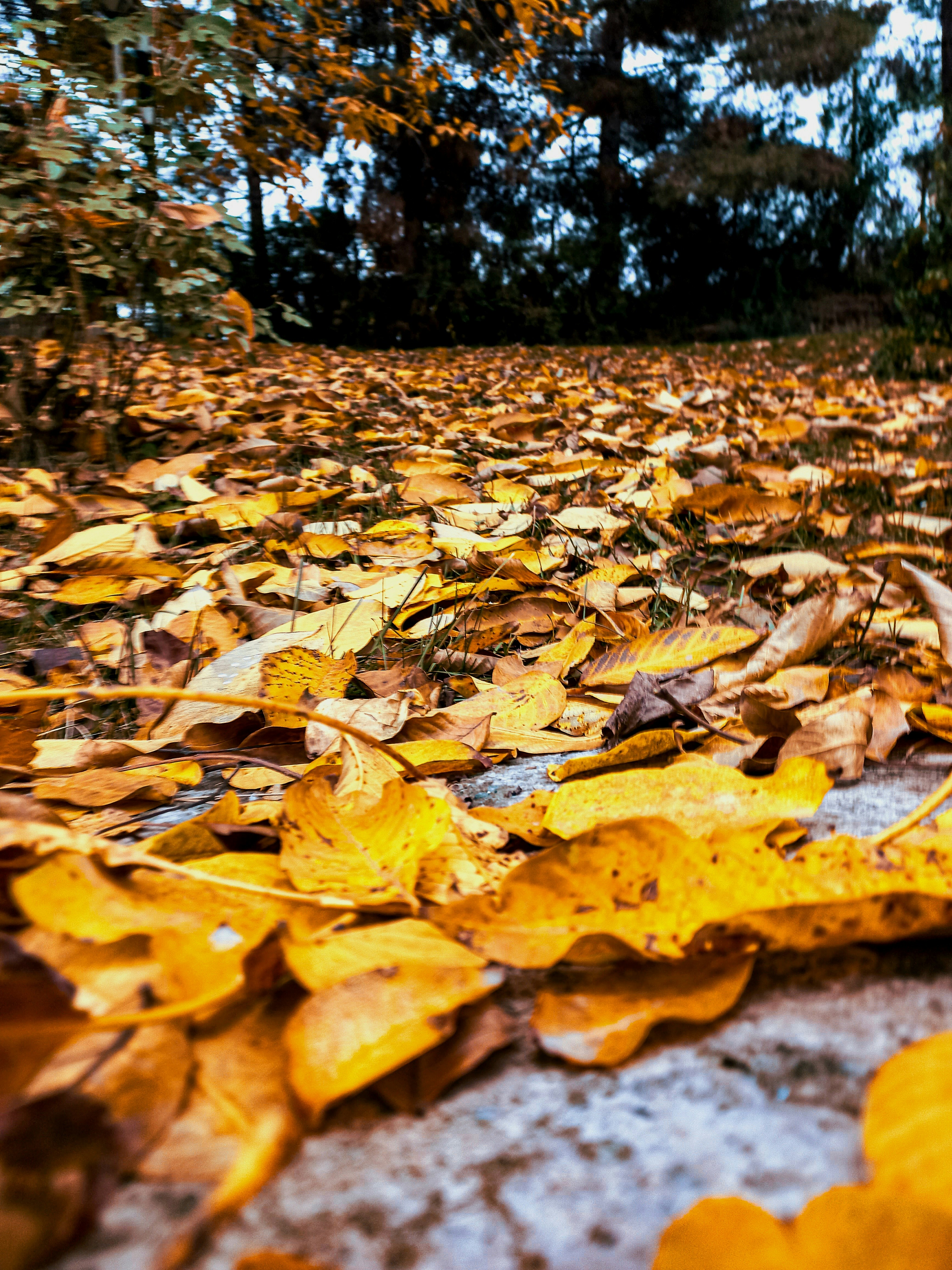 Photo by mohammadzandi