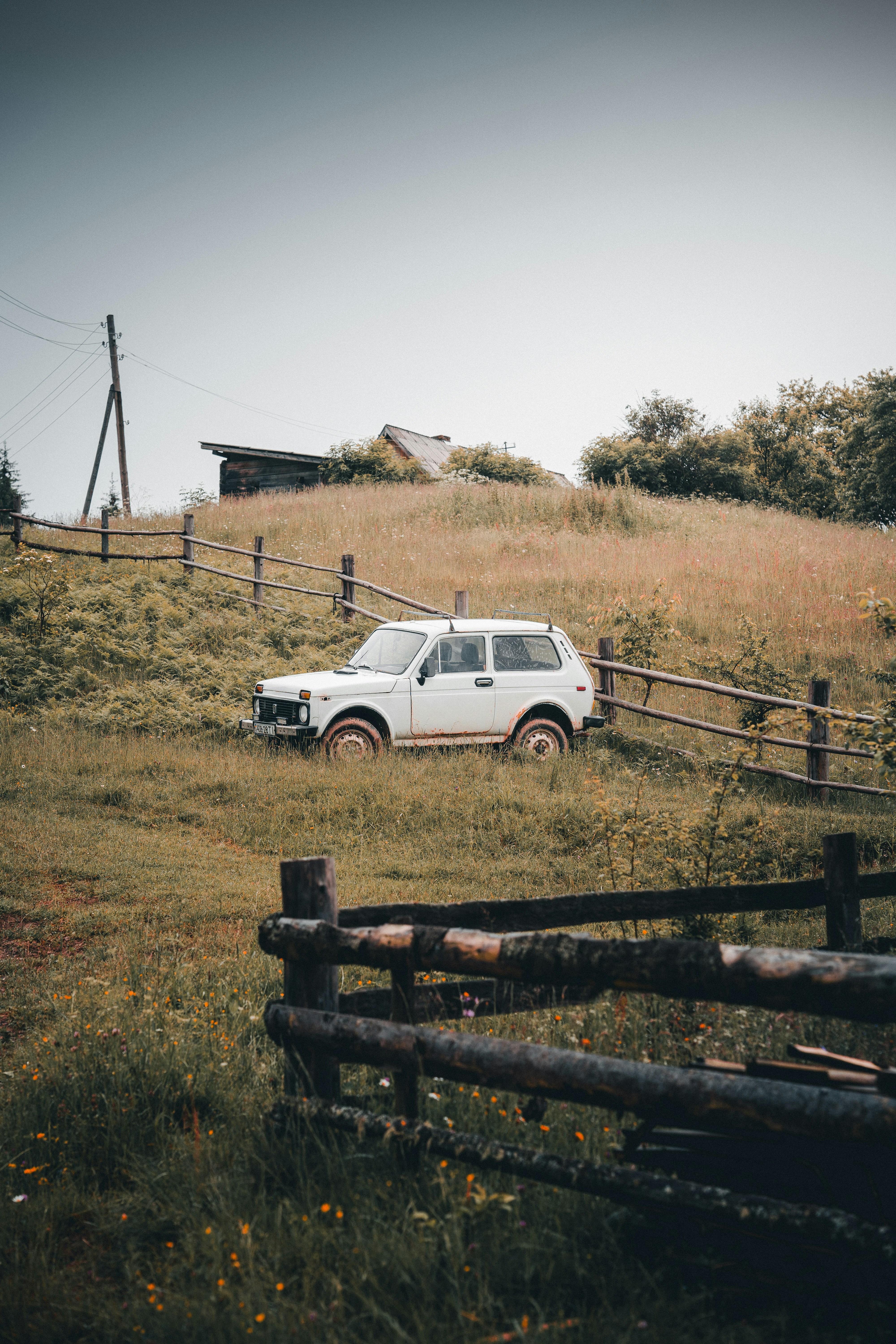 Photo by maksym_tymchyk