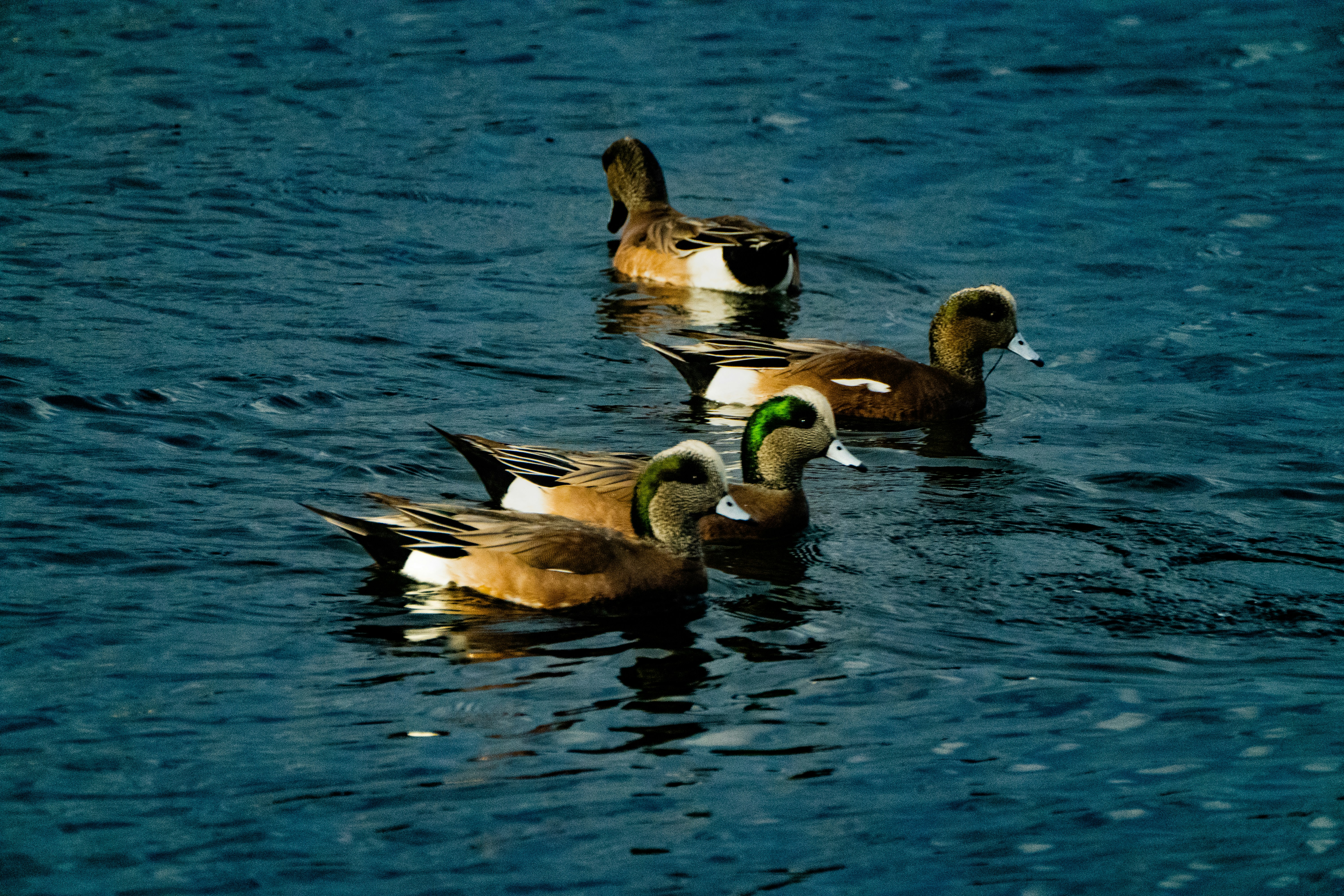 Photo by abscurestuff