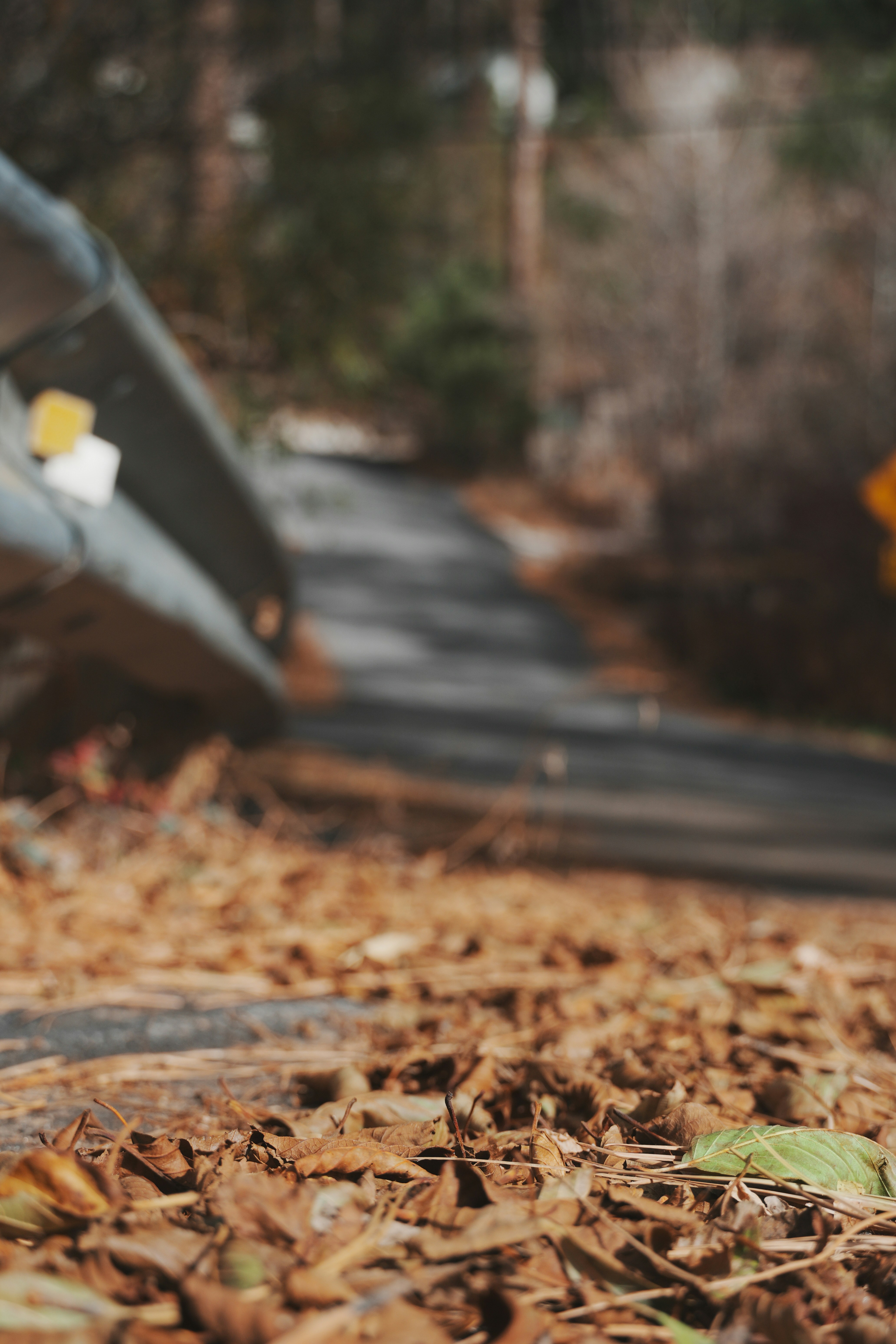 Photo by jcnonstop87