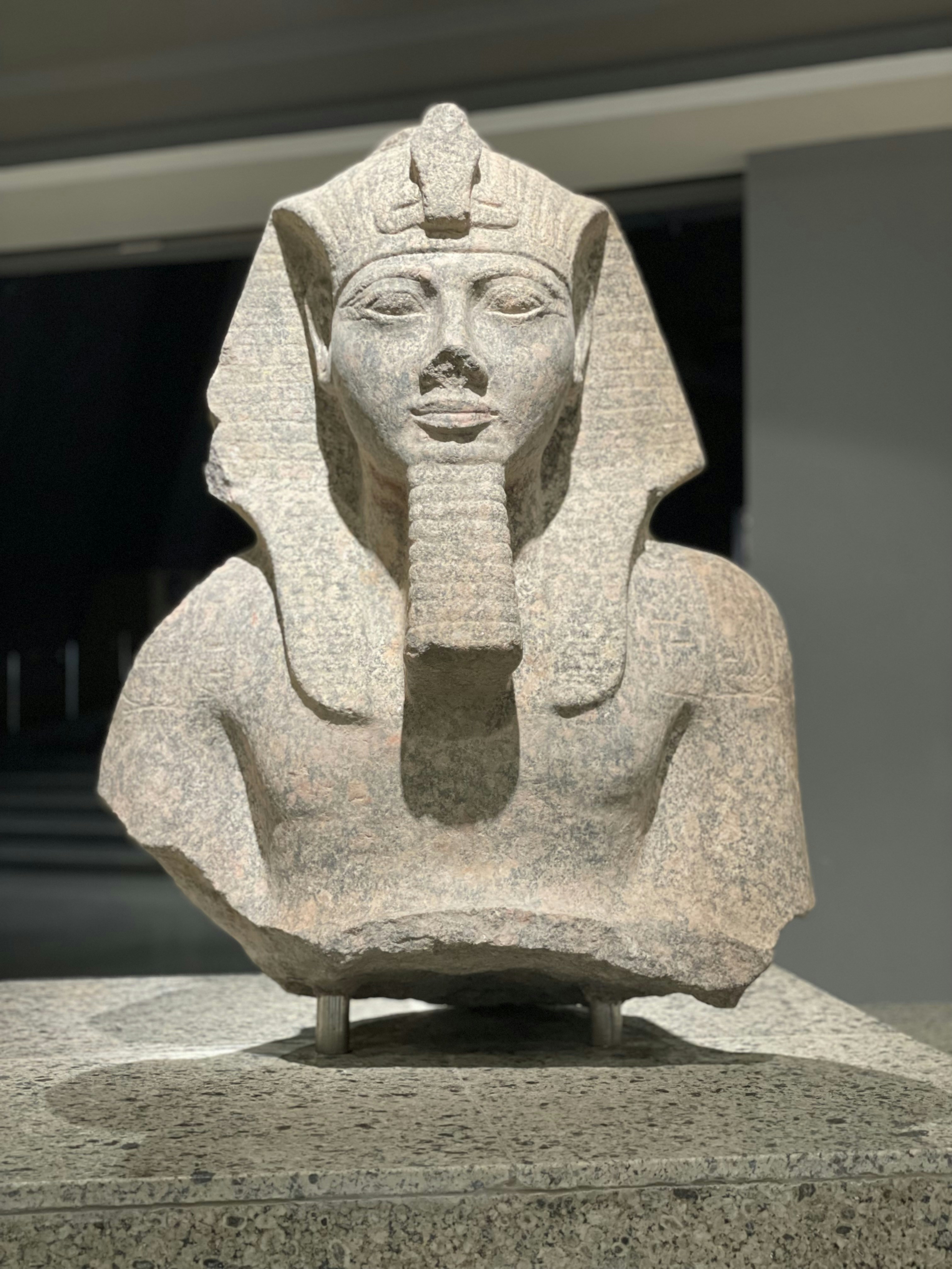 الملك أحمس .. حاكم مصر ومنقذها