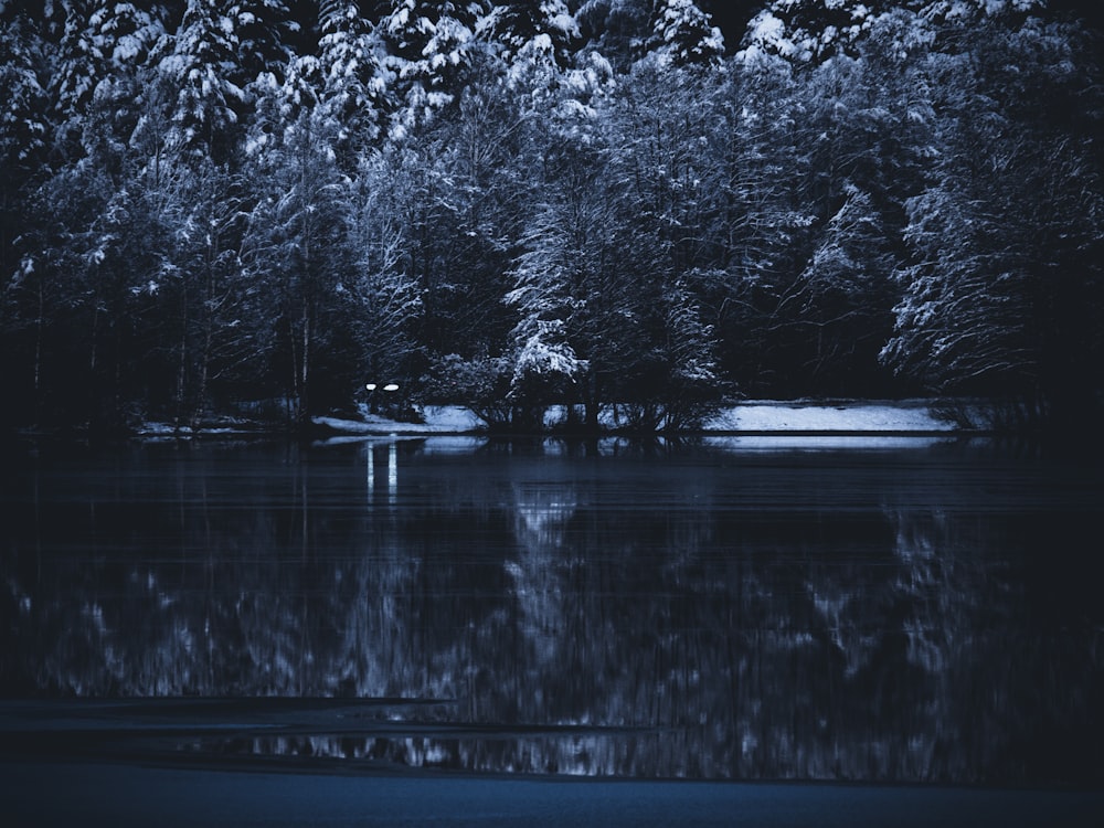 a body of water with trees in the background