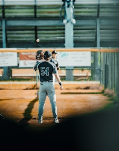 Fantasy Baseball Pro